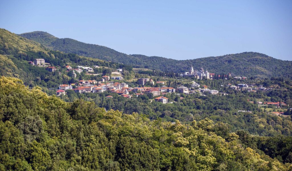 Επίσκεψη διαμονή στο Άγιο Όρος. Προσκύνημα στις 6-7-8 Μαρτίου.