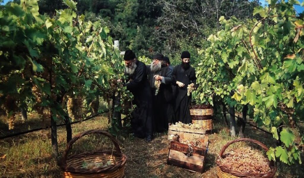 Athos Wine tradition